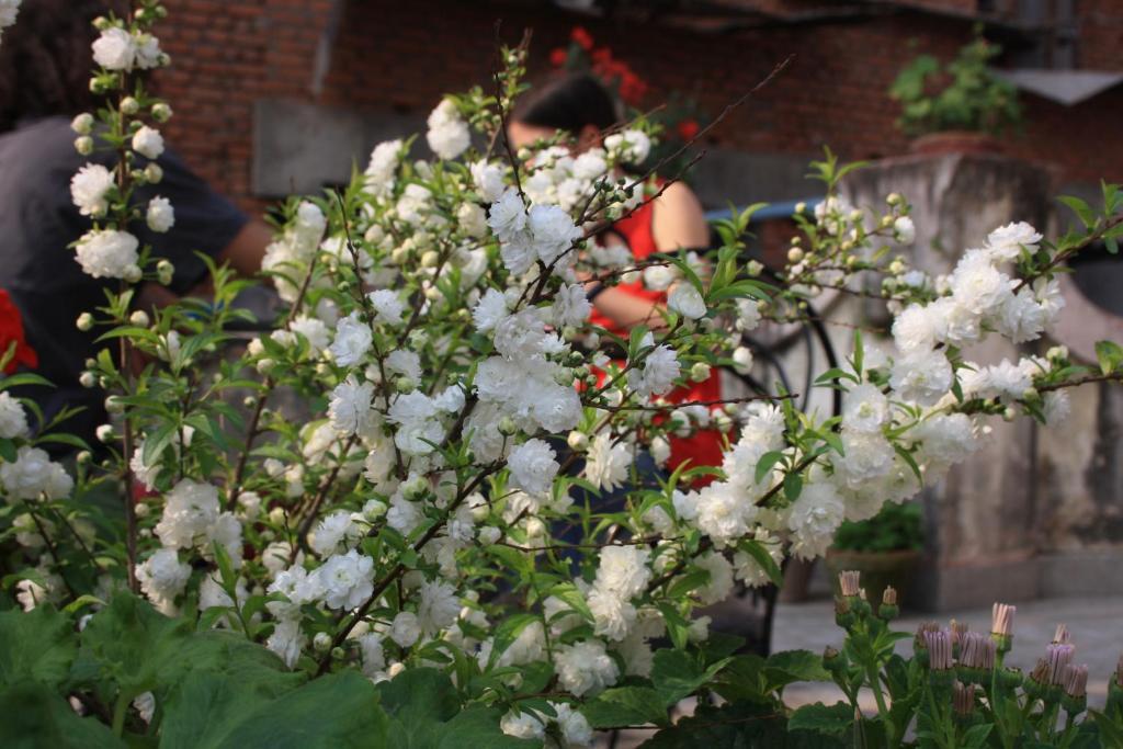 Tasi Dhargey Inn Kathmandu Exteriör bild